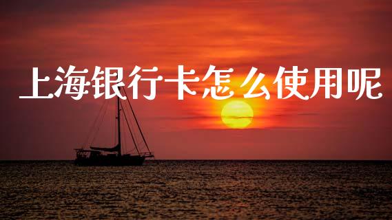 上海银行卡怎么使用呢_https://m.qmgjg.com_货币基金_第1张