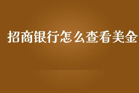招商银行怎么查看美金_https://m.qmgjg.com_资金管理_第1张