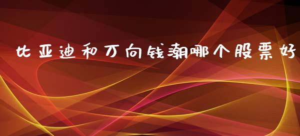 比亚迪和万向钱潮哪个股票好_https://m.qmgjg.com_货币基金_第1张