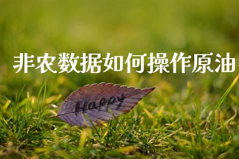 非农数据如何操作原油_https://m.qmgjg.com_资金管理_第1张