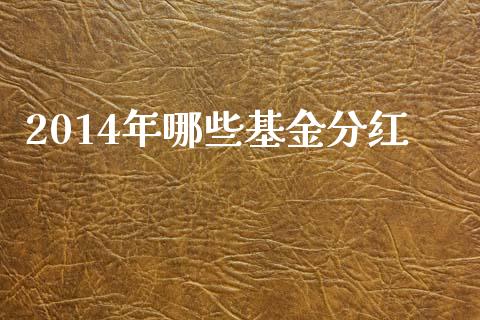 2014年哪些基金分红_https://m.qmgjg.com_投资银行_第1张