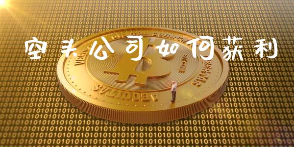 空头公司如何获利_https://m.qmgjg.com_货币基金_第1张