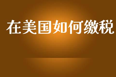 在美国如何缴税_https://m.qmgjg.com_货币基金_第1张