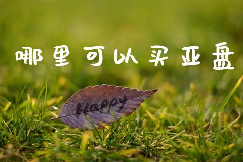 哪里可以买亚盘_https://m.qmgjg.com_投资银行_第1张