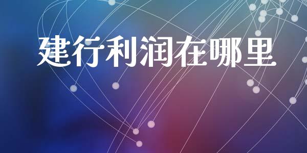 建行利润在哪里_https://m.qmgjg.com_货币基金_第1张