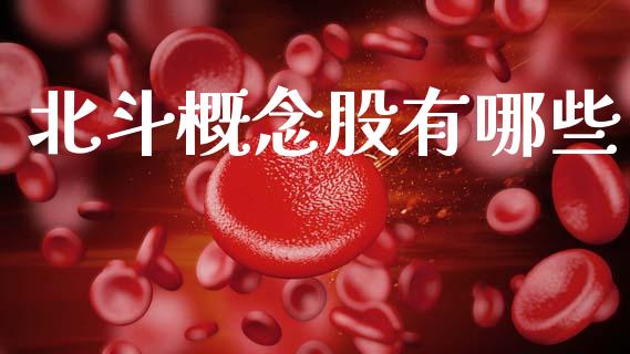 北斗概念股有哪些_https://m.qmgjg.com_金融市场_第1张