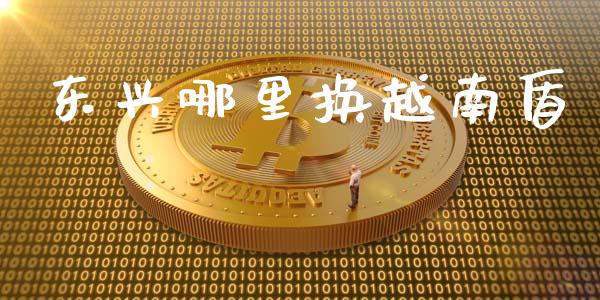 东兴哪里换越南盾_https://m.qmgjg.com_资金管理_第1张