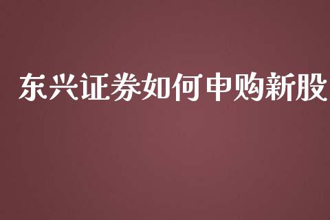 东兴证券如何申购新股_https://m.qmgjg.com_投资银行_第1张