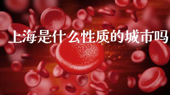 上海是什么性质的城市吗_https://m.qmgjg.com_货币基金_第1张