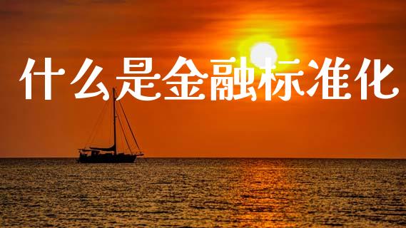 什么是金融标准化_https://m.qmgjg.com_投资银行_第1张
