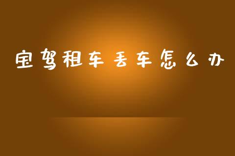 宝驾租车丢车怎么办_https://m.qmgjg.com_投资银行_第1张