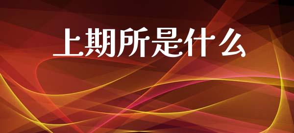 上期所是什么_https://m.qmgjg.com_货币基金_第1张
