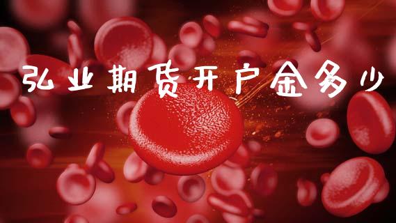 弘业期货开户金多少_https://m.qmgjg.com_资金管理_第1张
