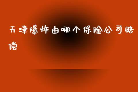 天津爆炸由哪个保险公司赔偿_https://m.qmgjg.com_资金管理_第1张