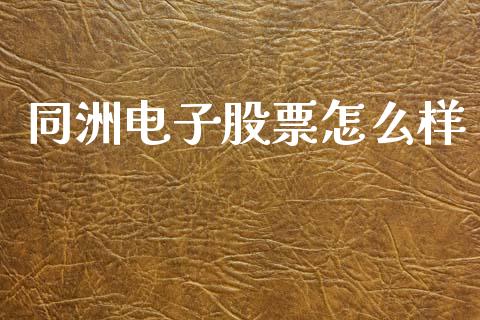 同洲电子股票怎么样_https://m.qmgjg.com_投资银行_第1张