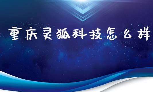重庆灵狐科技怎么样_https://m.qmgjg.com_资金管理_第1张