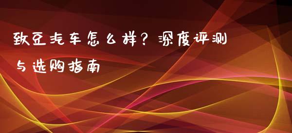 致豆汽车怎么样？深度评测与选购指南_https://m.qmgjg.com_资金管理_第1张