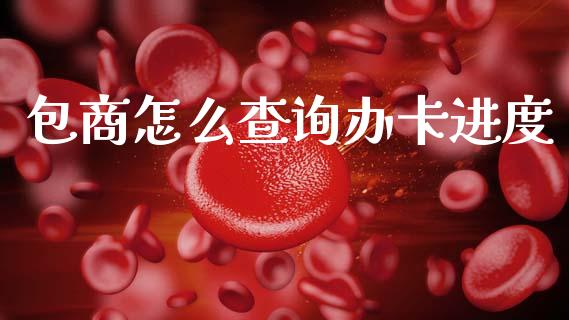 包商怎么查询办卡进度_https://m.qmgjg.com_金融市场_第1张