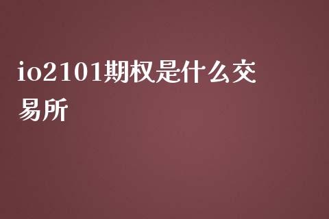 io2101期权是什么交易所_https://m.qmgjg.com_投资银行_第1张