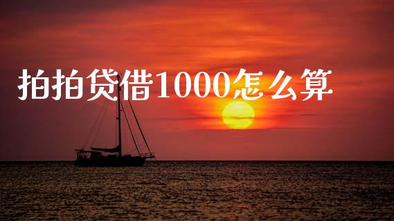 拍拍贷借1000怎么算_https://m.qmgjg.com_金融市场_第1张
