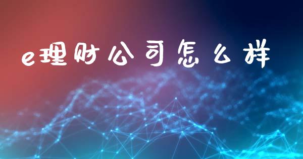 e理财公司怎么样_https://m.qmgjg.com_货币基金_第1张