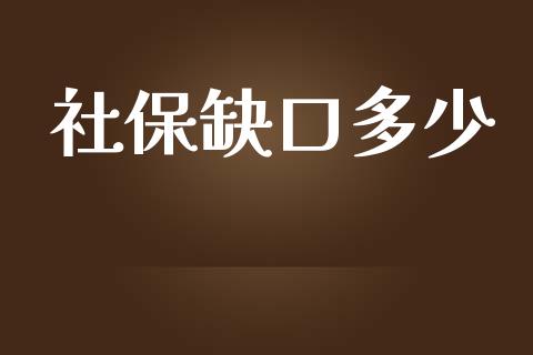 社保缺口多少_https://m.qmgjg.com_货币基金_第1张