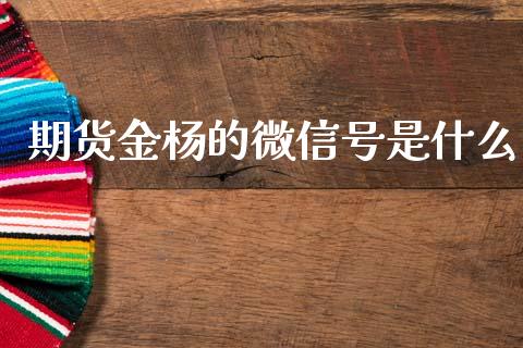 期货金杨的微信号是什么_https://m.qmgjg.com_资金管理_第1张