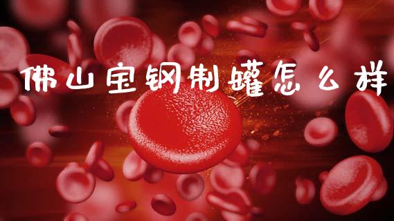 佛山宝钢制罐怎么样_https://m.qmgjg.com_货币基金_第1张