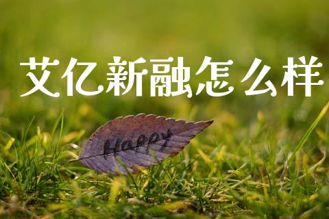 艾亿新融怎么样_https://m.qmgjg.com_投资银行_第1张