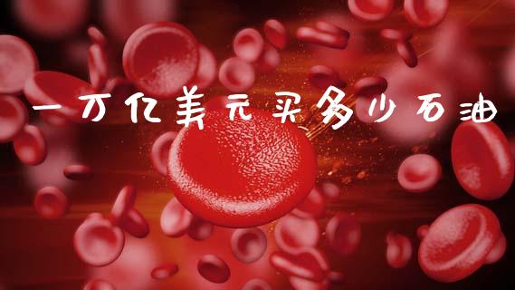 一万亿美元买多少石油_https://m.qmgjg.com_货币基金_第1张