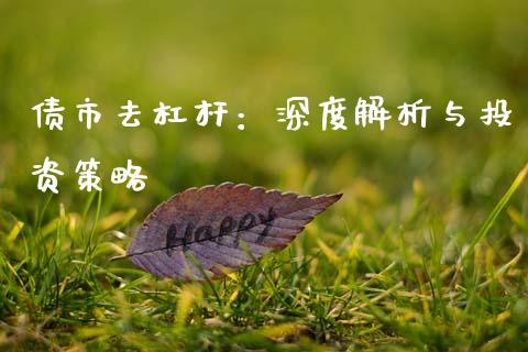 债市去杠杆：深度解析与投资策略_https://m.qmgjg.com_货币基金_第1张