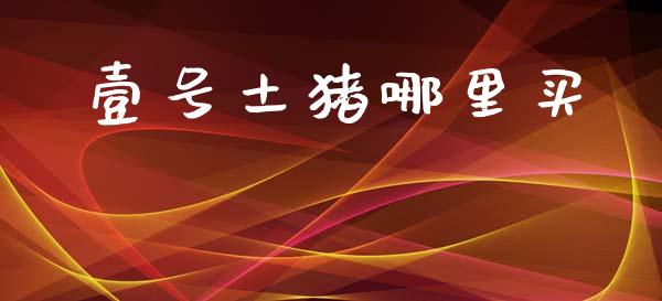 壹号土猪哪里买_https://m.qmgjg.com_资金管理_第1张