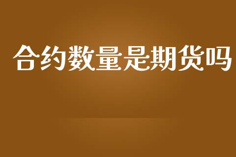 合约数量是期货吗_https://m.qmgjg.com_投资银行_第1张