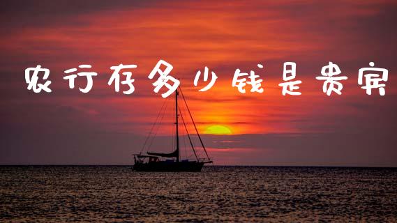 农行存多少钱是贵宾_https://m.qmgjg.com_货币基金_第1张