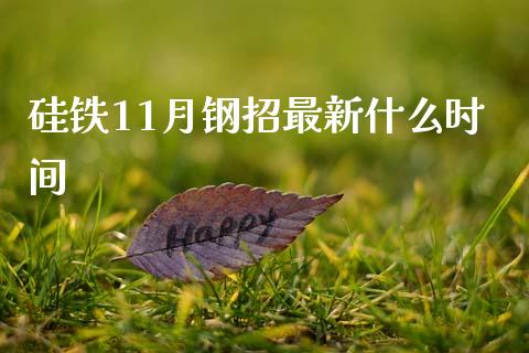硅铁11月钢招最新什么时间_https://m.qmgjg.com_资金管理_第1张