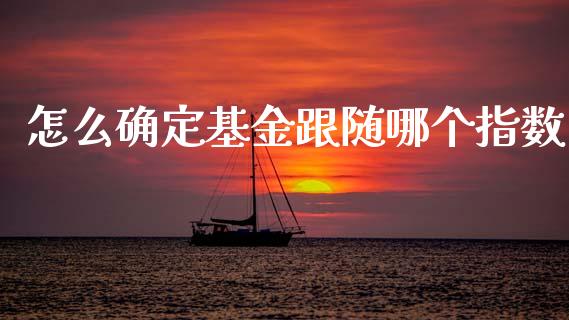 怎么确定基金跟随哪个指数_https://m.qmgjg.com_货币基金_第1张