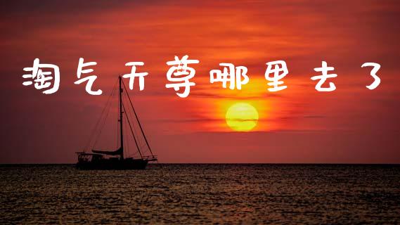淘气天尊哪里去了_https://m.qmgjg.com_投资银行_第1张