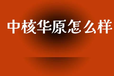 中核华原怎么样_https://m.qmgjg.com_投资银行_第1张