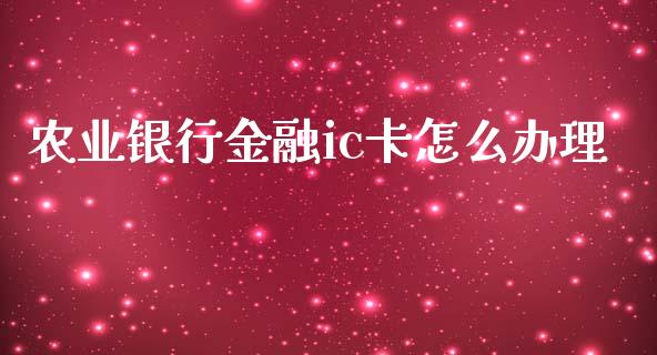 农业银行金融ic卡怎么办理_https://m.qmgjg.com_资金管理_第1张