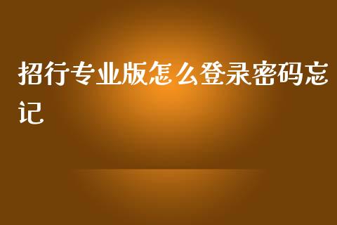 招行专业版怎么登录密码忘记_https://m.qmgjg.com_投资银行_第1张