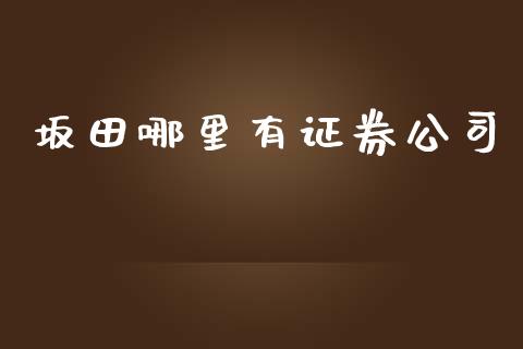 坂田哪里有证券公司_https://m.qmgjg.com_投资银行_第1张