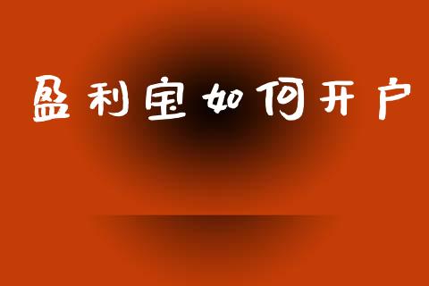 盈利宝如何开户_https://m.qmgjg.com_资金管理_第1张