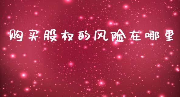 购买股权的风险在哪里_https://m.qmgjg.com_货币基金_第1张