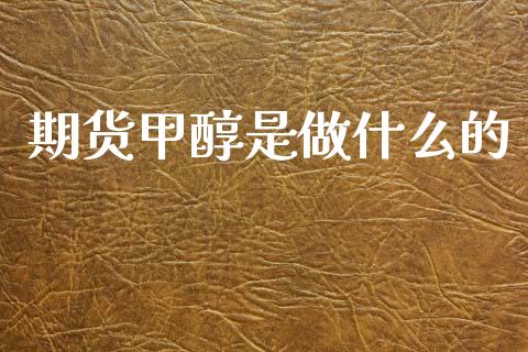 期货甲醇是做什么的_https://m.qmgjg.com_金融市场_第1张