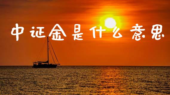 中证金是什么意思_https://m.qmgjg.com_投资银行_第1张