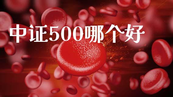 中证500哪个好_https://m.qmgjg.com_资金管理_第1张