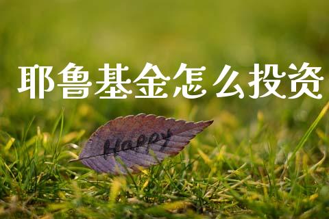 耶鲁基金怎么投资_https://m.qmgjg.com_投资银行_第1张
