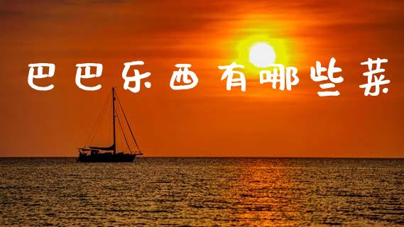巴巴乐西有哪些菜_https://m.qmgjg.com_资金管理_第1张