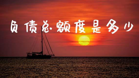负债总额度是多少_https://m.qmgjg.com_金融市场_第1张