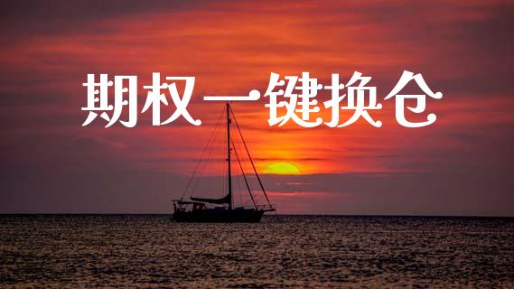 期权一键换仓_https://m.qmgjg.com_货币基金_第1张